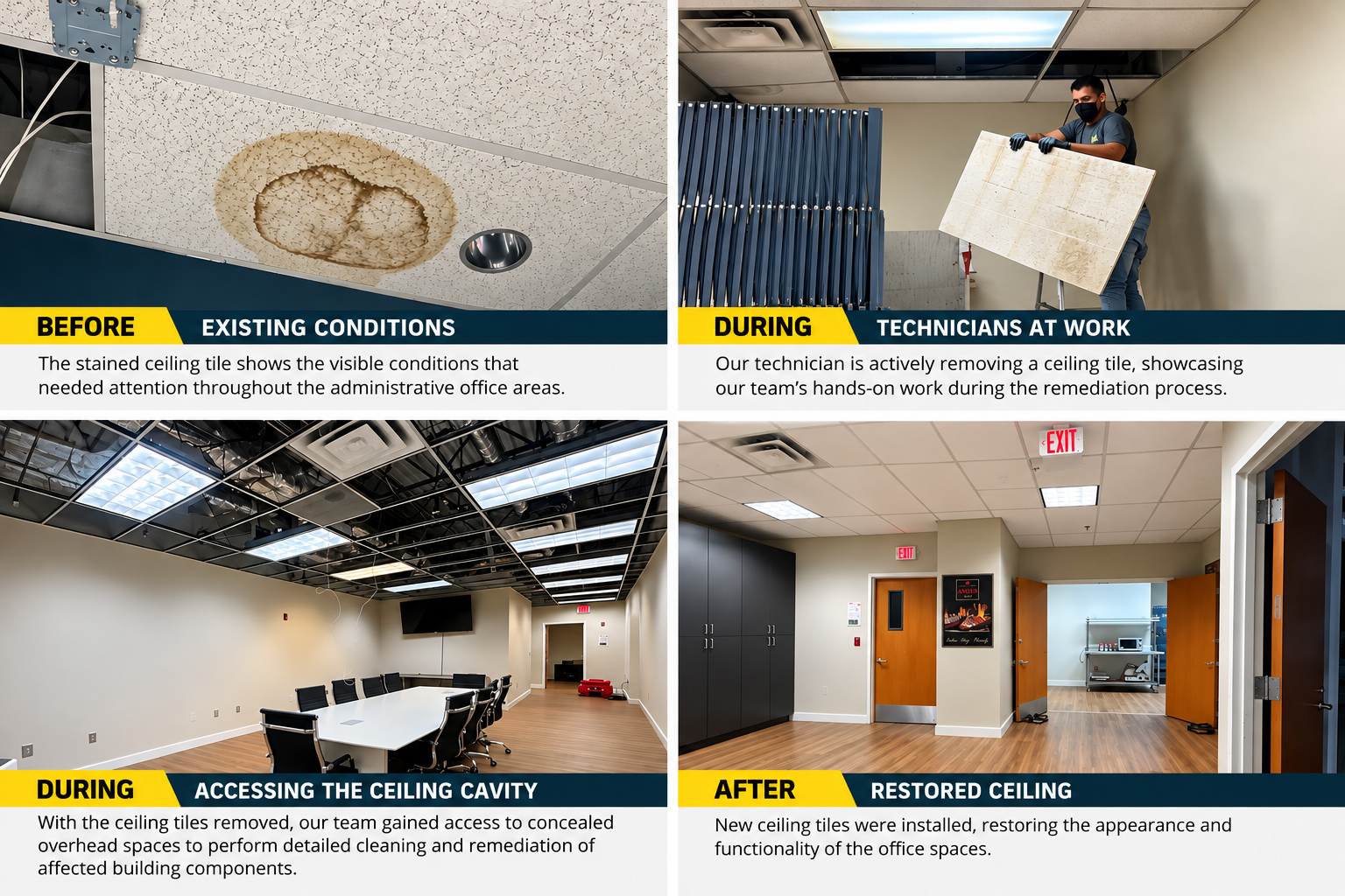 Ceiling Remediation-Commercial Remediation-Large Loss-Mold Remediation-Water damage