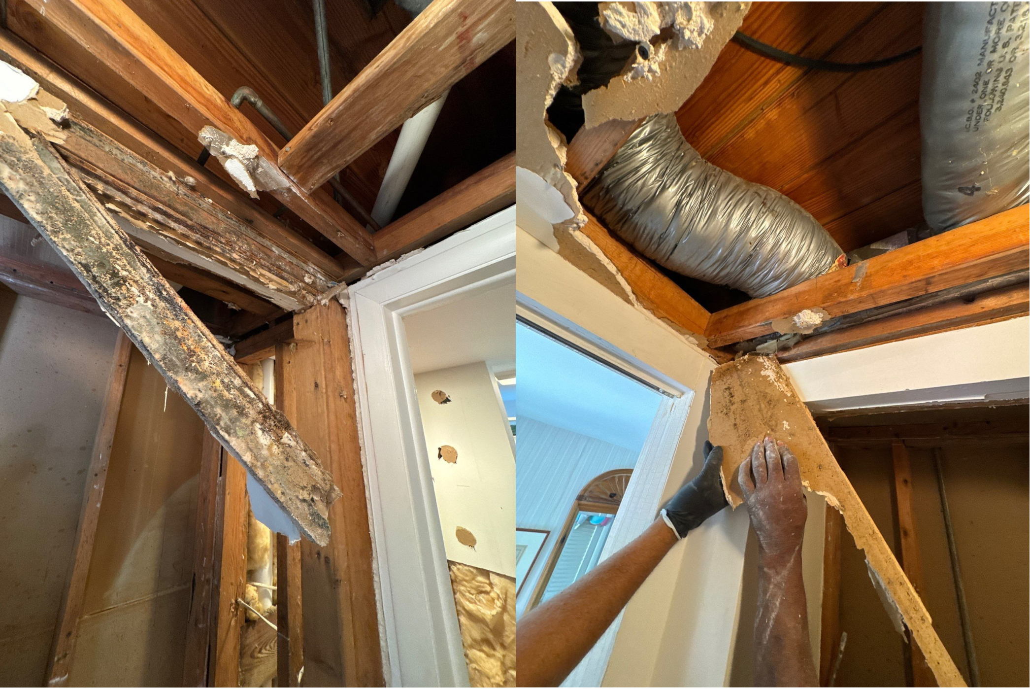 Water Damage-Remediation-Restoration-Mold Damage-Hidden Leak