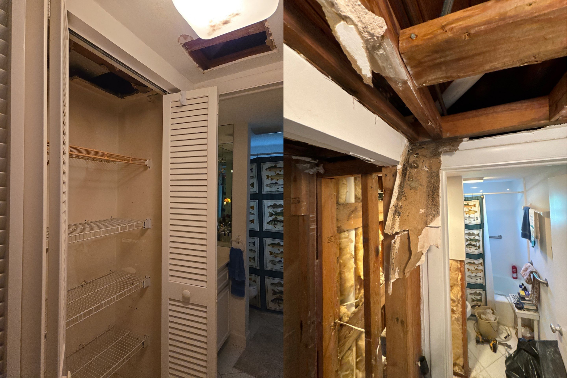 Water Damage-Hidden Leak-Mold-Remediation-Restoration 