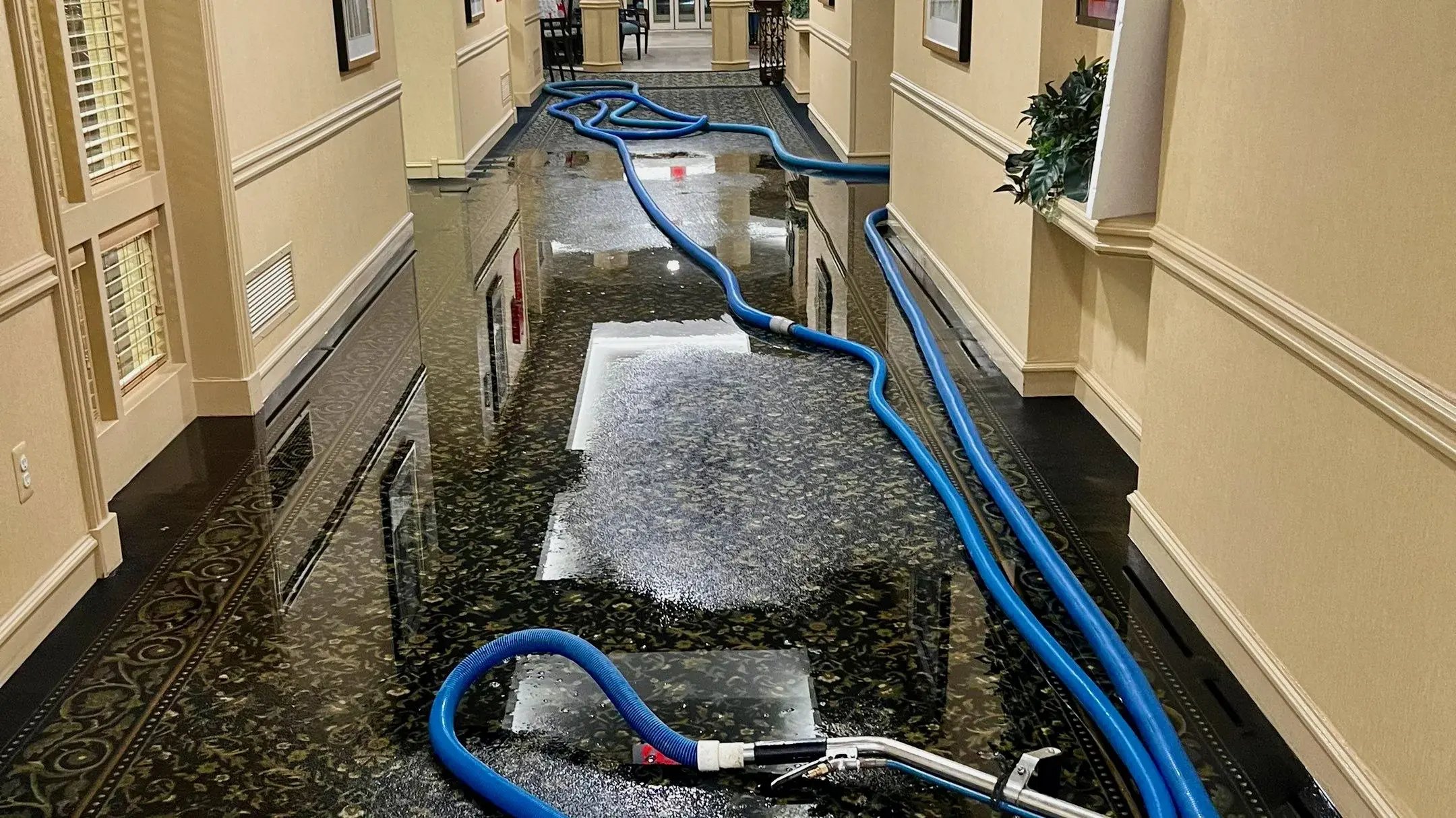 Cleveland Clinic Weston Hospital Water Extraction