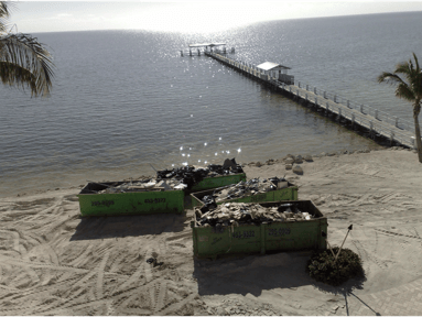 Cheeca-Lodge-Beach-Debris-Clean-Up