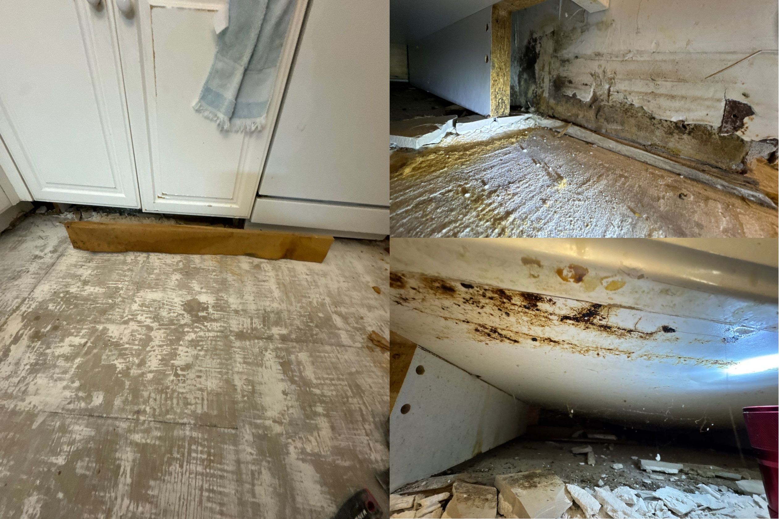 Kitchen Remodel-Water Damage-Remediation-Restoration