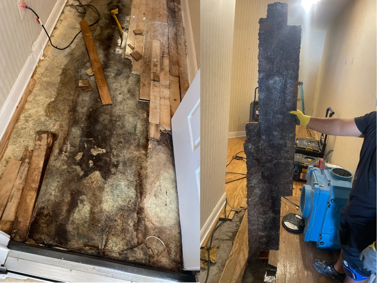 Wood-Flooring-Water Damage-Rebuild-Mold