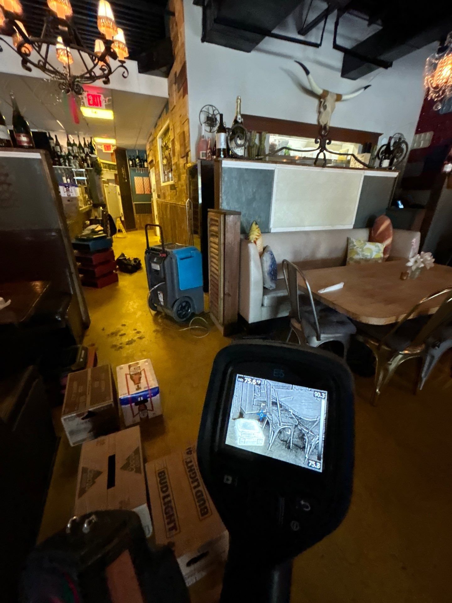 Moisture Detection-Water Extraction-Commercial-Sewage Backup-Restoration  