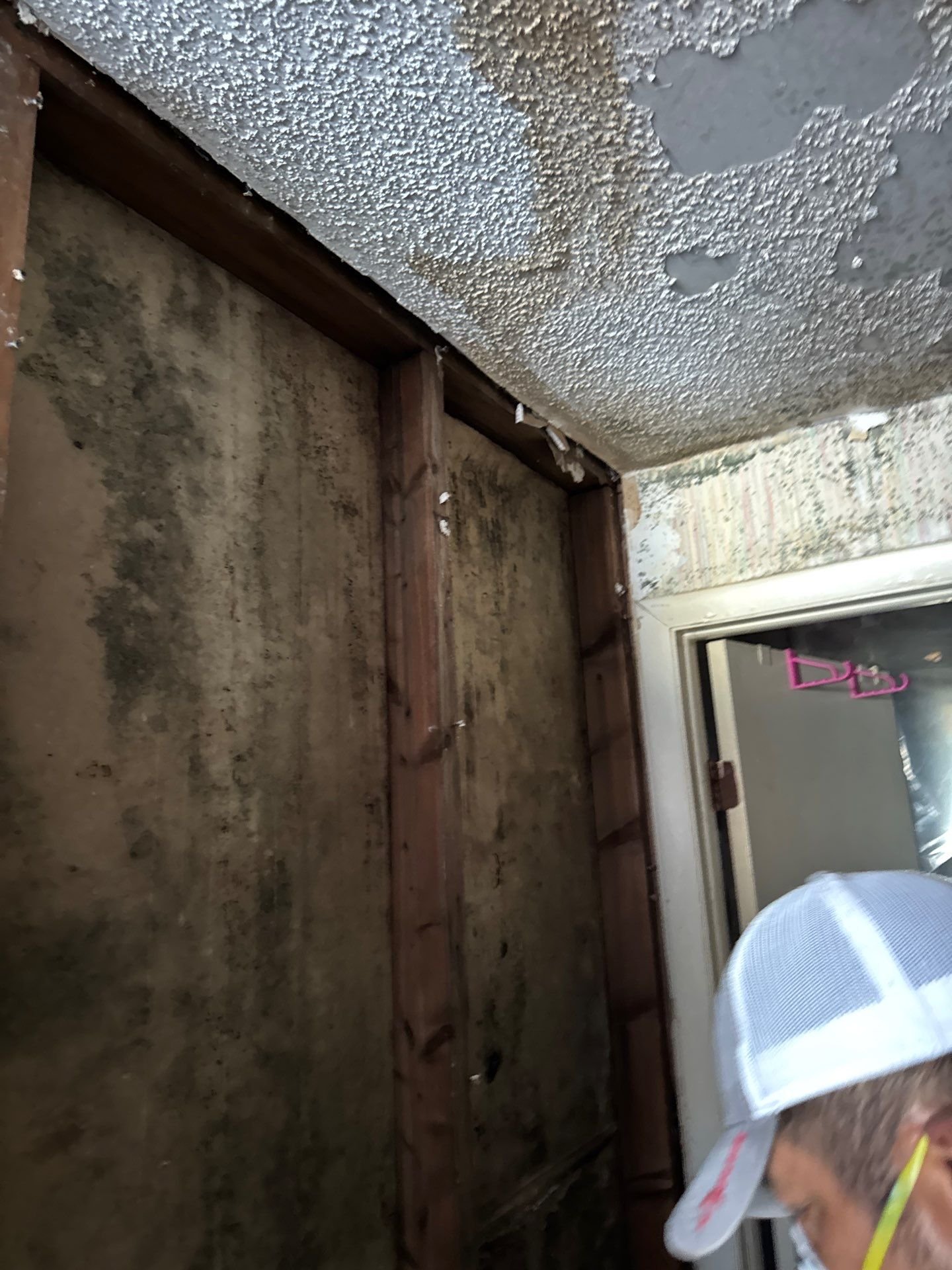 Largo Florida-Flood Damage-Mold Damage-Water Damage-Emergency Services