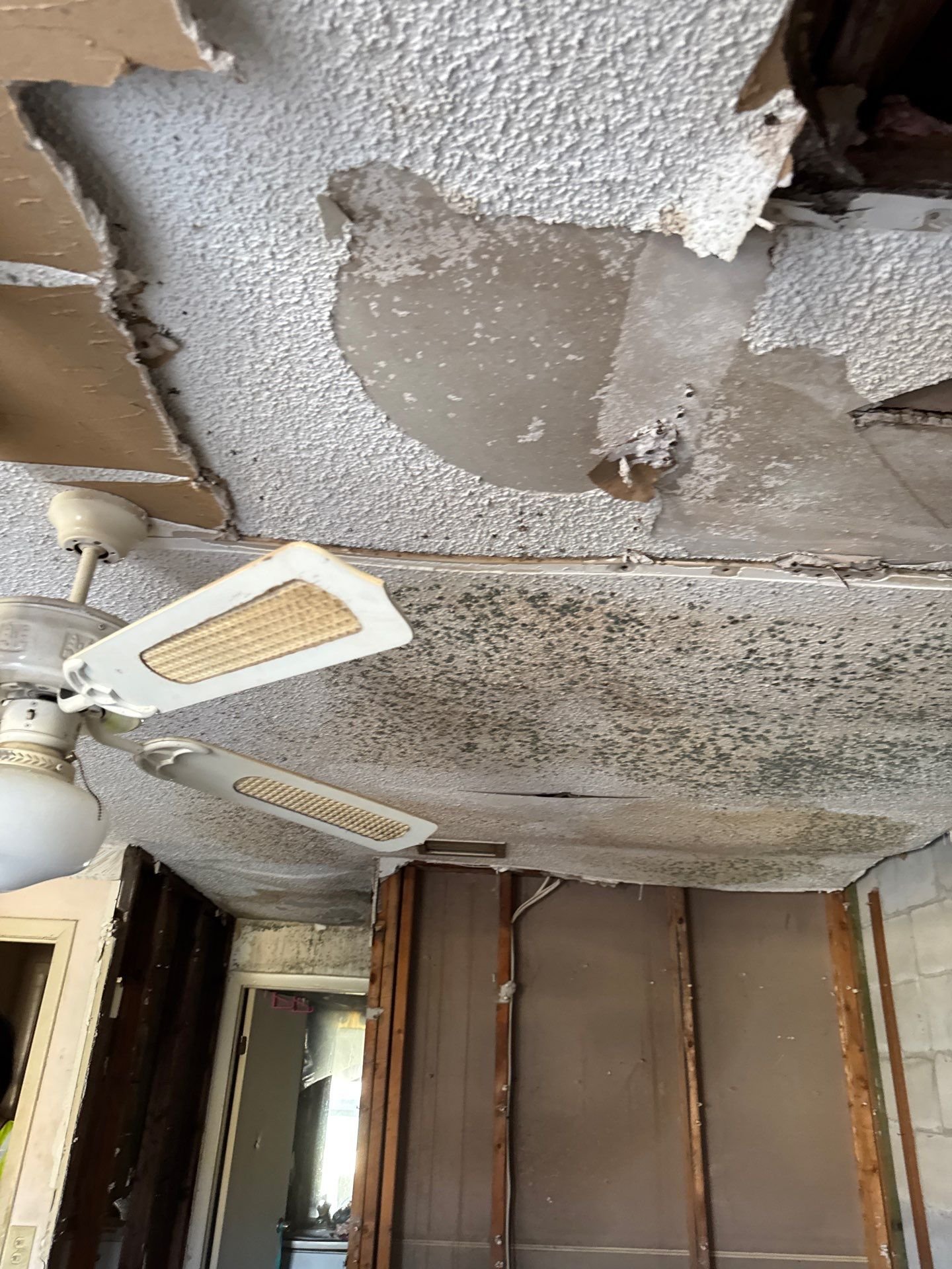 Flooding-Hurricane Damage-Stabilization-Water Damage-Emergency Remediation