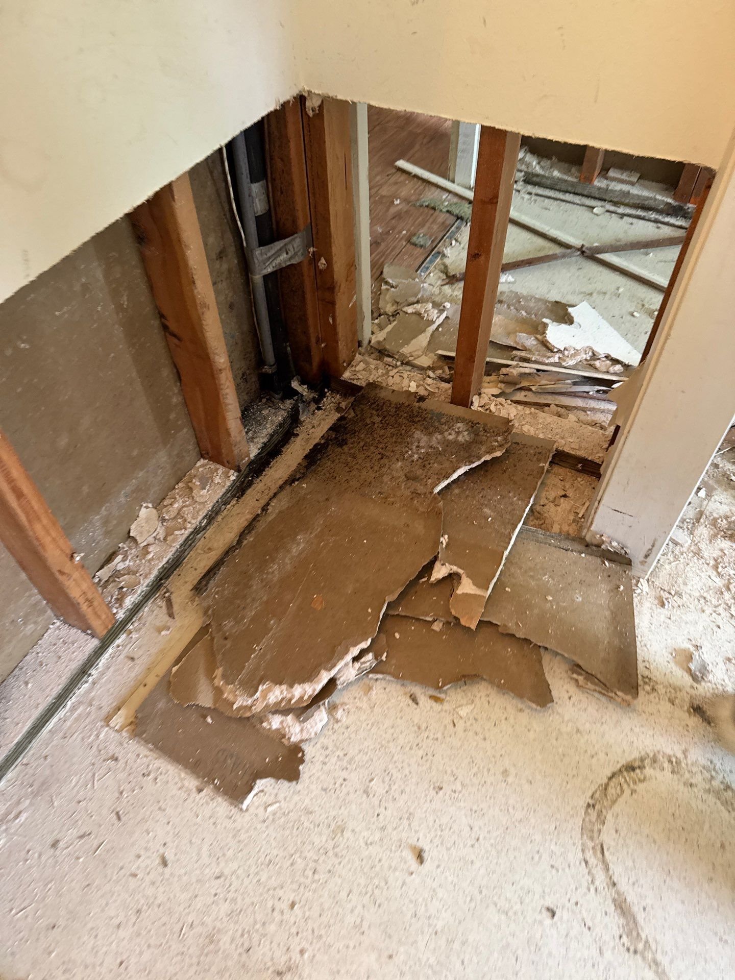 Venice Flooding-Emergency Response-Water Damage-Mold Remediation-Stabilization-Demolition 