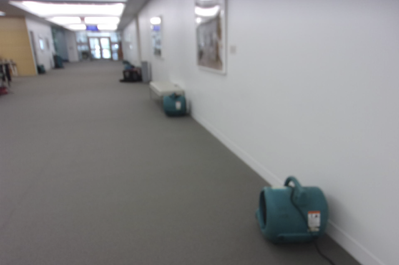 Cleveland Clinic-Water Remediation-Florida-Flooding-Commercial-Large Loss